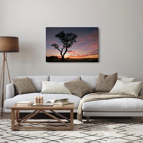 Obraz - Strom a červánky (90x60 cm)