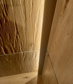 Obývacia stena Bolus, dub artisan, s osvetlením