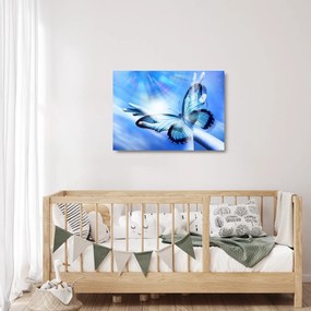 Sklenený obraz - Motýľ, symbol nádeje (70x50 cm)