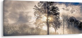Obraz stromu v hmle (120x50 cm)