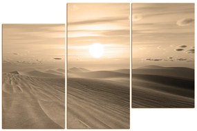 Obraz na plátne - Púštny západ slnka 1917FD (120x80 cm)