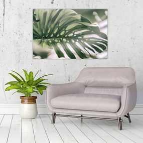Obraz - List monštier (90x60 cm)