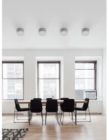 Palnas 66001487 - LED Vonkajšie stropné svietidlo BRUNO LED/10W/230V IP54