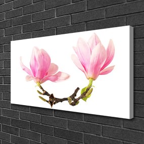 Obraz na plátne Kvety 120x60 cm