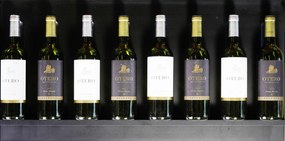 Expovinalia Regál Merlot 620050