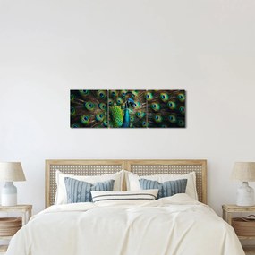 Obraz – Páv (s hodinami) (90x30 cm)