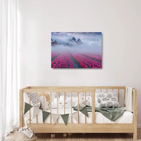 Sklenený obraz - Krajina s tulipánovými poľami (70x50 cm)