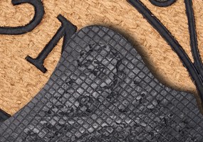 Hanse Home, Rohožka Home 105712 – na von aj na doma, 45x75, hnedá, chodba / predsieň