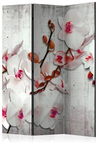 Artgeist Paraván - Concrete Orchid [Room Dividers]