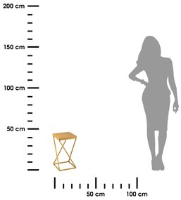 STOJAN NA KVETINÁČ LOFT7 40X24X24 CM ZLATÁ/HNEDÁ