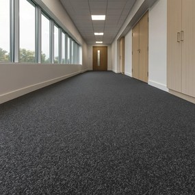 Beaulieu International Group, Koberec metráž Primavera 236, na mieru, šíře 4m, čierna, resine, chodba / predsieň