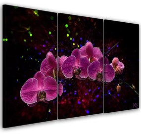 Obraz na plátně třídílný, Orchidej na temném pozadí - 120x80 cm