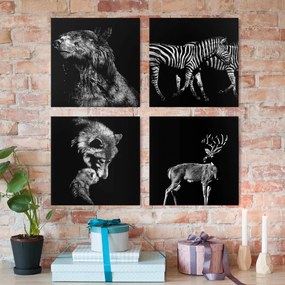Manufakturer -  Štvordielny obraz Divoké zvieratá pred čiernym súborom I