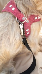 Cestovný pelech pre psov do auta JULIAN - cappuccino