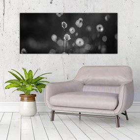 Obraz - Cottongrass na lúke (120x50 cm)