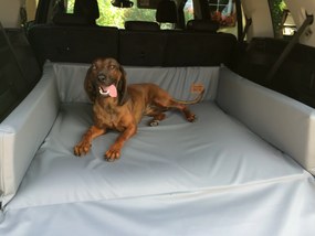 Golden Dog Pelech Golden dog do auta pre psa L 25 x 105 x 90 cm – krémový