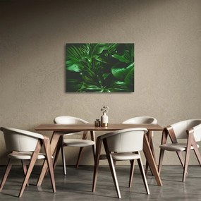 Sklenený obraz - Palmové listy (70x50 cm)