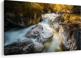 Obraz - Lesný potok (90x60 cm)