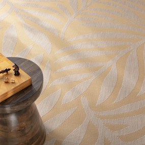 Koberec Avenna golden beige 160x230 cm