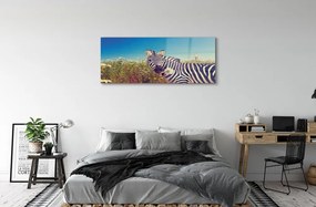 Obraz na akrylátovom skle Zebra kvety 120x60 cm