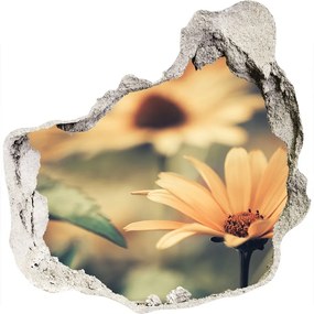 Fotoobraz diera na stenu Jarné kvety nd-p-64765143