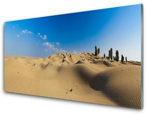 Obraz na akrylátovom skle Púšť krajina 125x50 cm