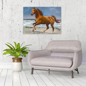 Sklenený obraz koňa na pláži (70x50 cm)