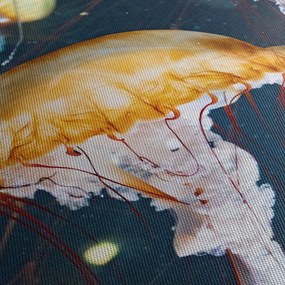 Obraz medúzy (90x60 cm)