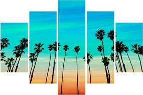 Obraz - Kalifornia (150x105 cm)