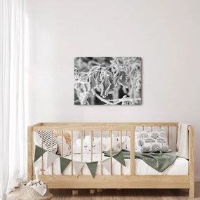 Obraz - Zmrznuté listy, čiernobiela (70x50 cm)