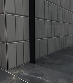 Erga Paris, sprchová zástena Walk-In 120x200 cm, 8mm šedé sklo, čierny profil, ERG-V02-PARIS-120x200-GR-BK