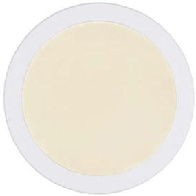 Globo 12379-24W - LED Stropné svietidlo LASSE LED/24W/230V