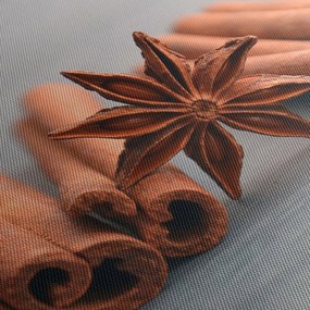 Obraz škorice (70x50 cm)