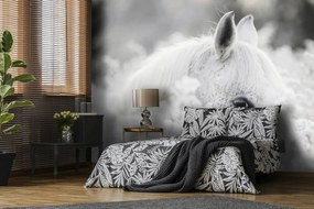 Fototapeta - Biely kôň na snehu (254x184 cm)