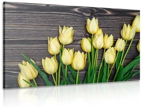 Obraz očarujúce žlté tulipány na drevenom podklade - 60x40