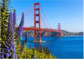 Obraz - Golden Gate Bridge, San Francisco (70x50 cm)