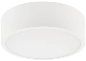 Stropné svietidlo DANTE 1xE27/60W/230V pr. 26 cm biela