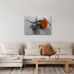 Sklenený obraz - Oranžová ruža (70x50 cm)