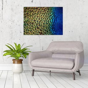 Sklenený obraz - Pávie perie (70x50 cm)