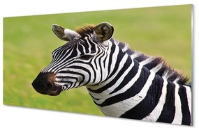 Sklenený obraz zebra 125x50 cm