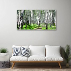 Obraz na akrylátovom skle Stromy tráva príroda 100x50 cm