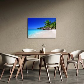 Obraz pláže na Praslin ostrove (70x50 cm)
