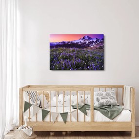 Obraz - Sopka a kvety (90x60 cm)
