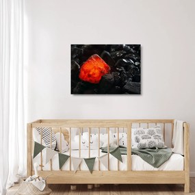 Sklenený obraz - Žeravý nerast (70x50 cm)