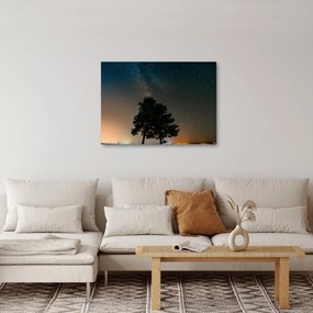 Obraz nočnej oblohy so stromami (70x50 cm)