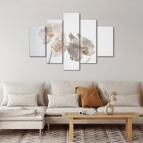 Obraz bielej orchidey (150x105 cm)