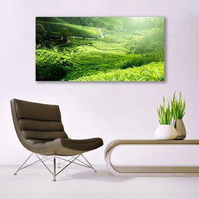 Obraz na akrylátovom skle Lúka príroda 120x60 cm