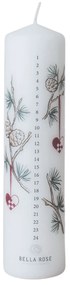 Bella Rose Adventná sviečka Smrekovec