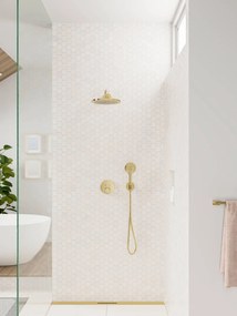 Hansgrohe Raindance Select S, ručná sprcha 120 3jet, leštený vzhľad zlata, HAN-26530990