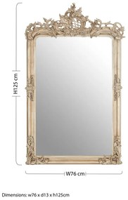 Nástenné zrkadlo 76x125 cm Gilda – Premier Housewares